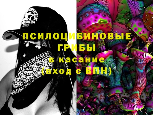 прущая мука Армянск