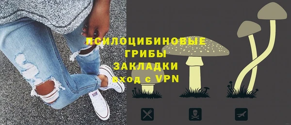твердый Арсеньев