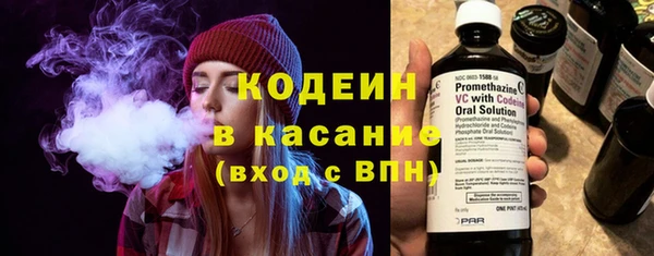 твердый Арсеньев