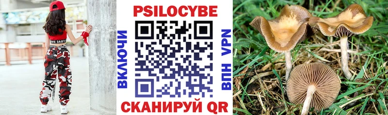 Псилоцибиновые грибы Magic Shrooms  продажа наркотиков  omg tor  Стрежевой 